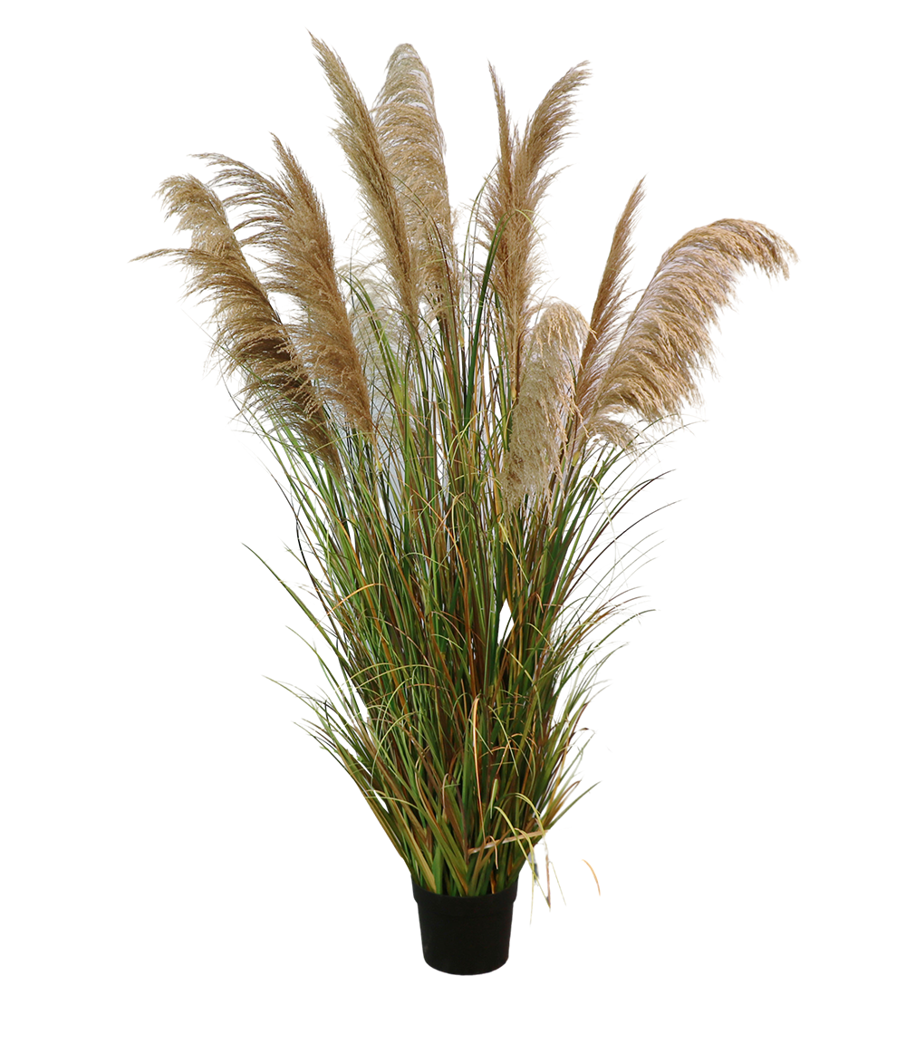 Senmasine 110cm 145cm 170cm 183cm Faux Reed Grass Large Plants Onion Grass Artificial For Indoor Outdoor Decor Manufacture