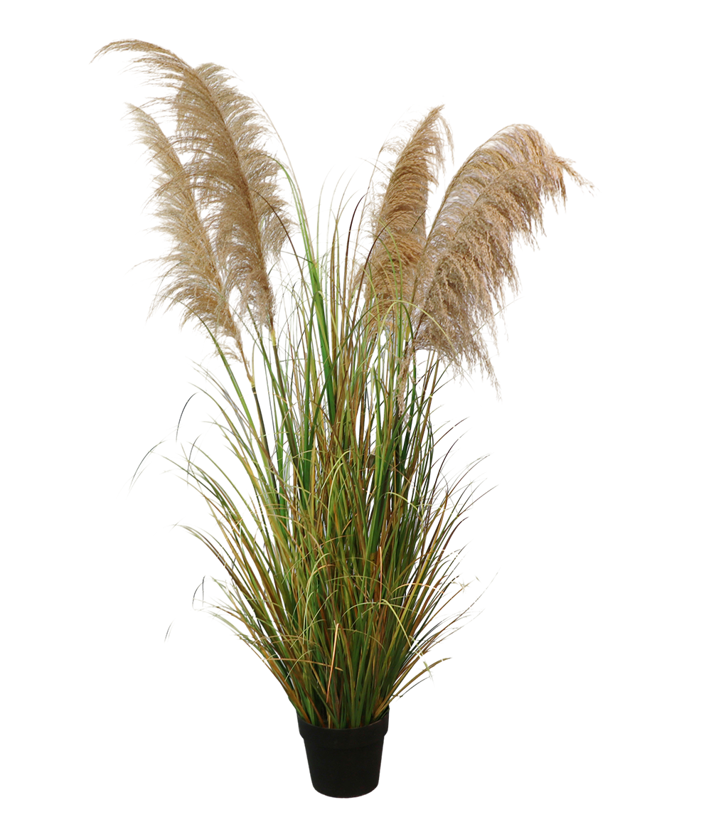 Senmasine 110cm 145cm 170cm 183cm Faux Reed Grass Large Plants Onion Grass Artificial For Indoor Outdoor Decor Manufacture