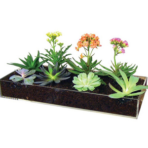 New Custom Clear Flower Pot Tray Acrylic Drip Planter Tray for Herb Gardens