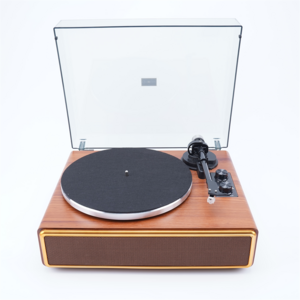 Skywin New High Quality Table Top Built-in Speakers Moving Magnet Cartridge Vintage LP Vinyl Records Bluetooth Turntable Player