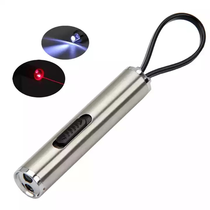 Stainless Steel Dual Function 2 in 1 LED Red Laser Flashlight LED Keychain Lights