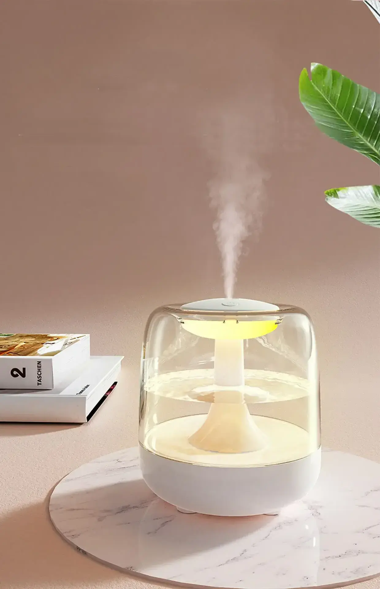 Can Add Fruit Air Humidifier Household Cute Ultrasonic Colorful Jellyfish Night Light USB Mini Humidifier Diffuser Transparent