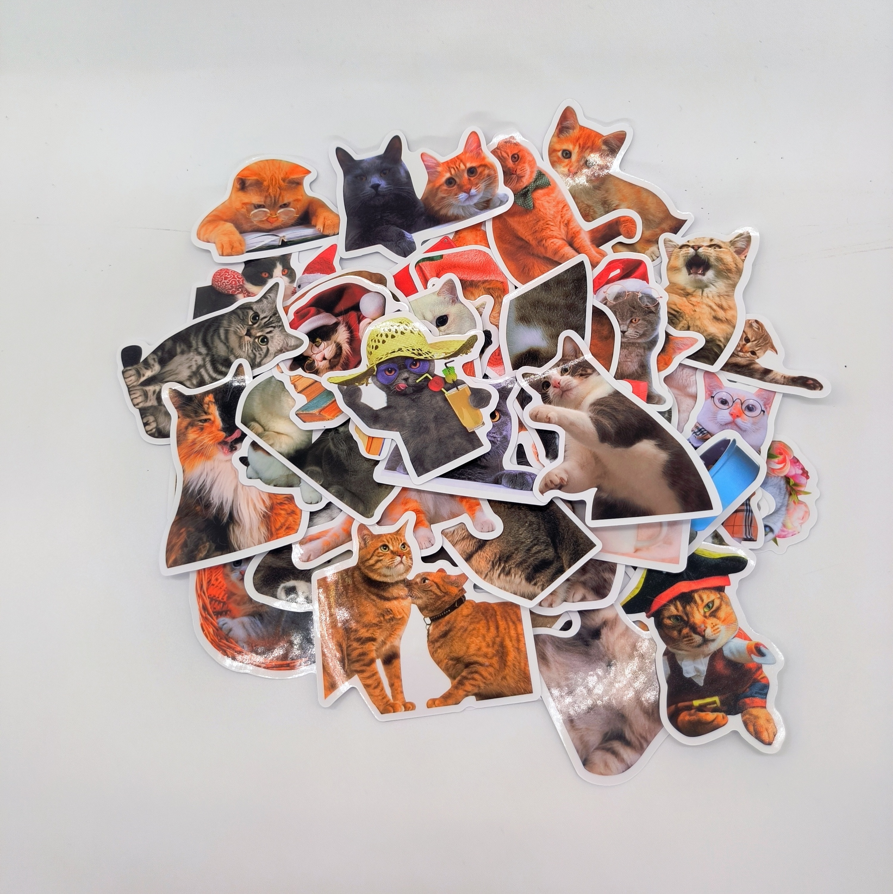 50/Pack Die Cut Cute Animal Cat Kitty Stickers Skateboard Guitar Suitcase Freezer Classic Toy Decal Funny Stickers Bulk