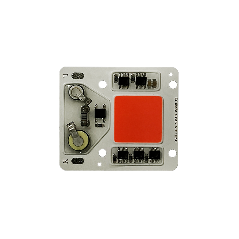 AC 220V 50W driverless COB LED Chip light module white red green blue amber colors for DIY Floodlight Spotlight