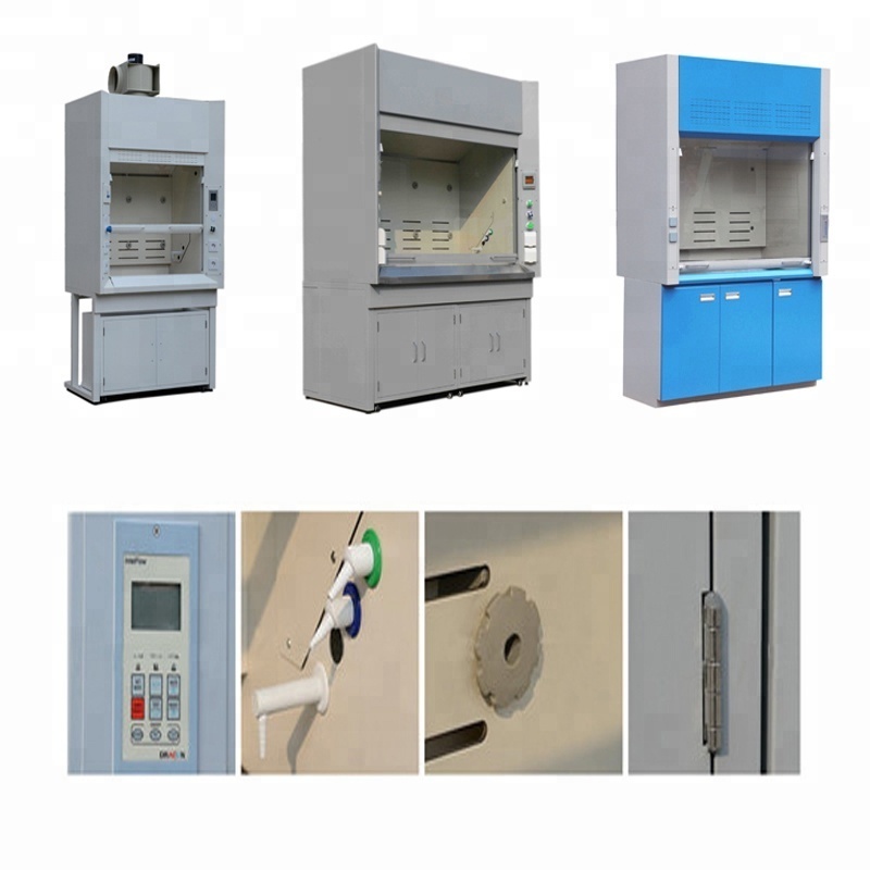 Laboratory Steel Furniture Equipment Customized Walking in Fume Hood Price