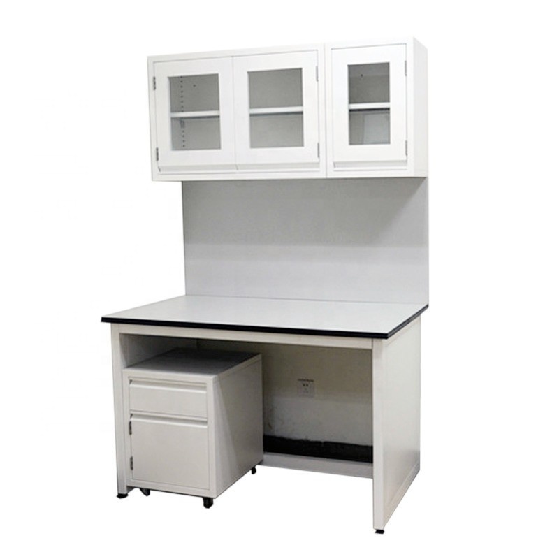 Chemical Workstation, Laboratory Wall Bench with Reagent Shelf & Hanging Cabinet