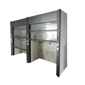 Laboratory Steel Furniture Equipment Customized Walking in Fume Hood Price