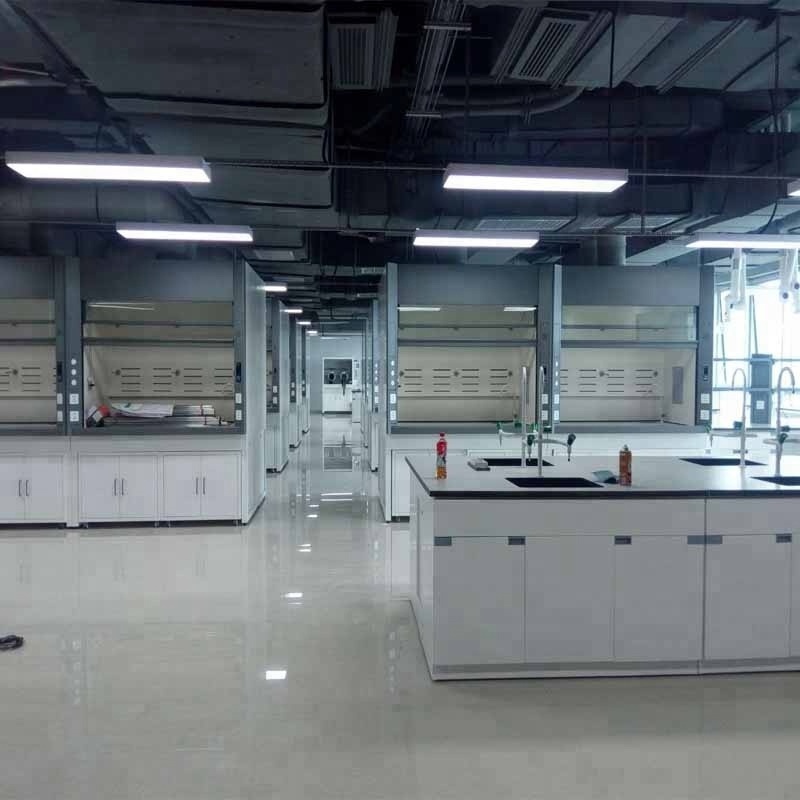 Laboratory Steel Furniture Equipment Customized Walking in Fume Hood Price