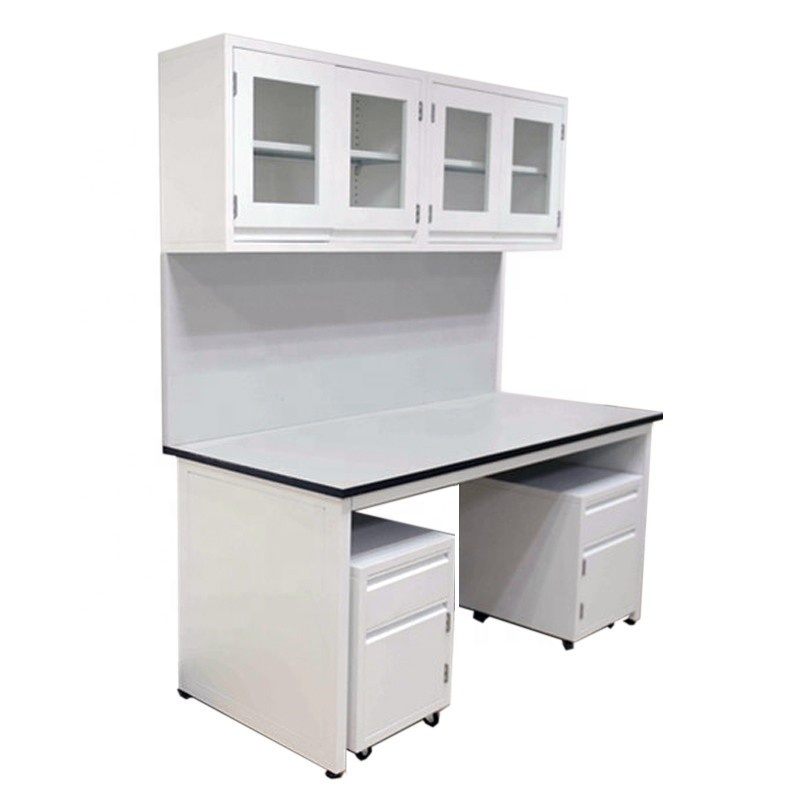 Chemical Workstation, Laboratory Wall Bench with Reagent Shelf & Hanging Cabinet