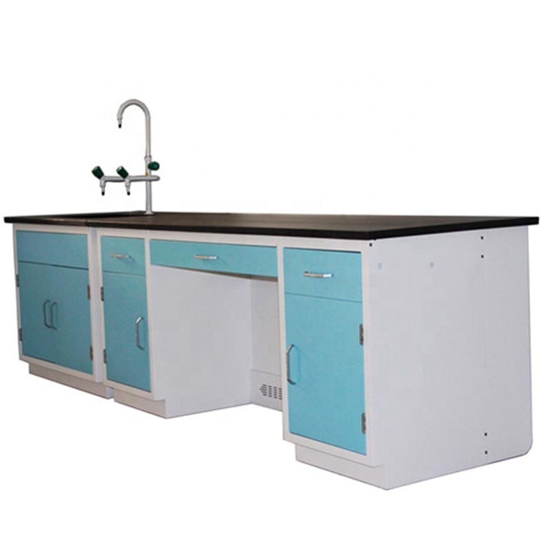 Customized Steel Lab Furniture Wall bench Laboratory With PP Sink Faucet