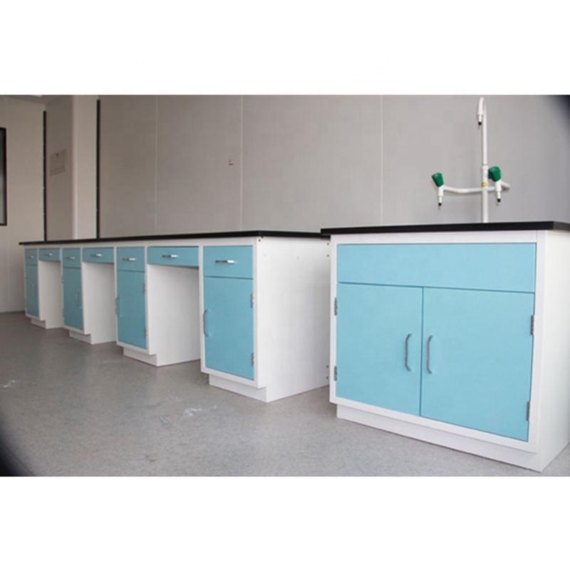 Customized Steel Lab Furniture Wall bench Laboratory With PP Sink Faucet