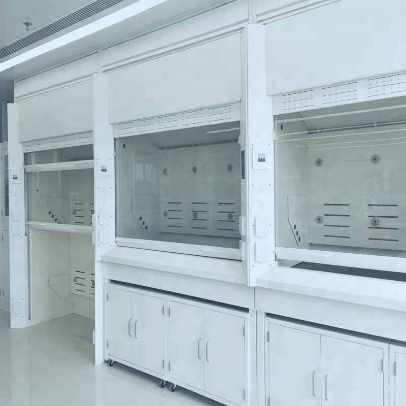 Laboratory Steel Furniture Equipment Customized Walking in Fume Hood Price