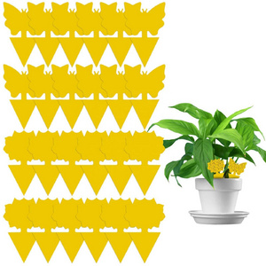 Wholesale Non-toxic And Tasteless 12 Pack Yellow Sticky Fruit Fly Trap For Indoor Protect Plants