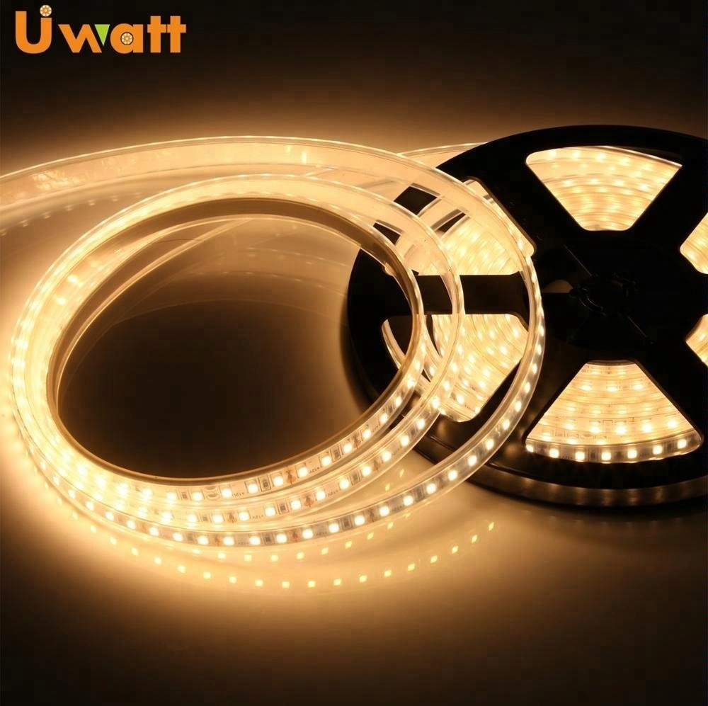 DC12V 24V 220V 60 120 180 240 LEDs/m 2835 IP20 IP65 IP67 Waterproof White LED Strip Light