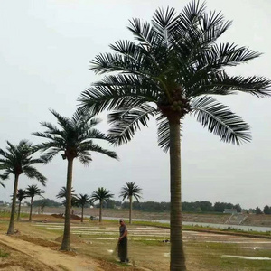 Big Artificial Palm Trees Giant Anti Uv Outdoor Used Artificial Coconut Tree