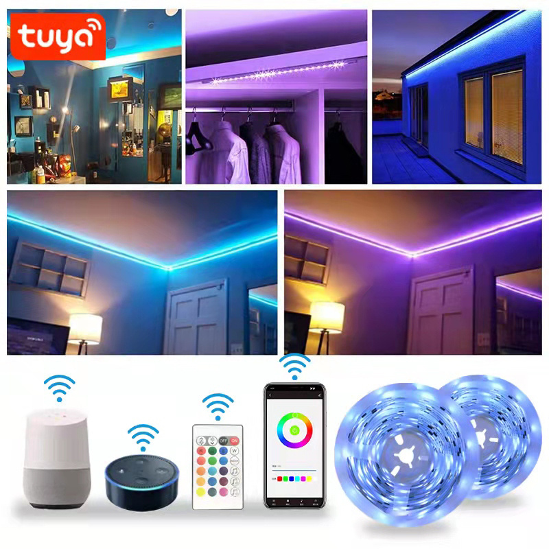 Tuya Smart LED Lights Strips 12V 5050 RGB Flexible Tape Dimmable IR Remote WiFi Control Room Lamps Decoration Smart Strip Light