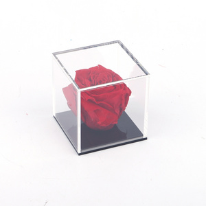 Custom Small Acrylic Plexiglass Cube Display Box With Base