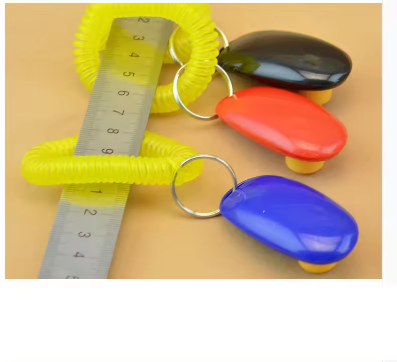 New arrival plastic pet Clicker training toy with wrist strap for dog training