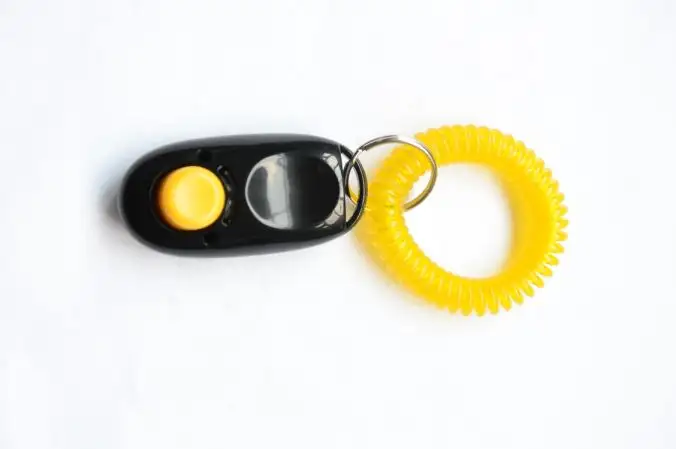 New arrival plastic pet Clicker training toy with wrist strap for dog training