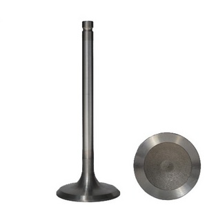 M102 M103 M117 intake and exhaust valve for European and American cars