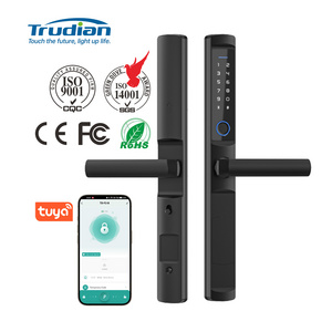 Wholesale Price Tuya WiFi Smart Locks Keyless Face Recognition & Fingerprint Door Lock for Interior Doors