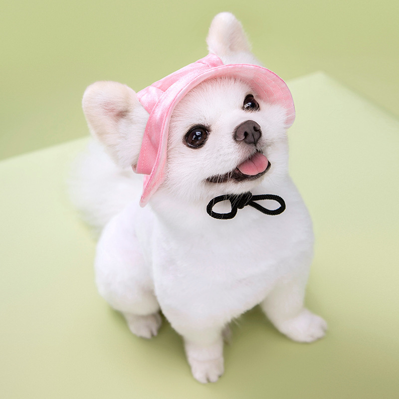 Hats for Small dogs Round Brim Pet Cap Outdoor Dog Sun Hat with Ear Holes Adjustable Chin Strap