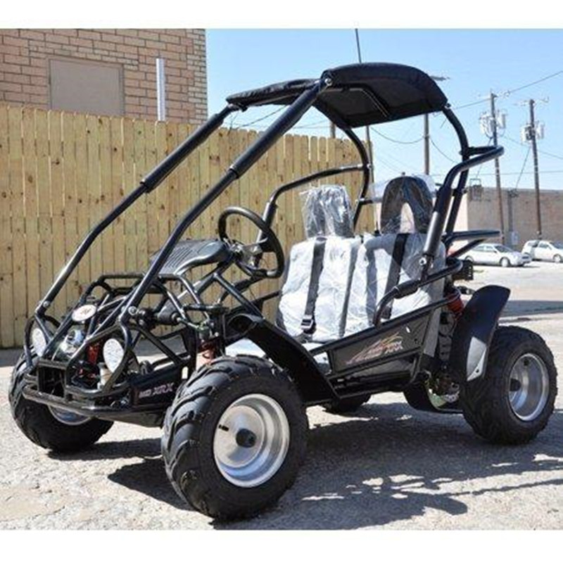 uwnat  2020 Renli EEC5 500cc 4x4 Racing Dune Buggy 2 Seat Cheap Go Karts For Sale go kart electric go kart bausatz