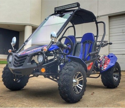 uwnat  100% ORIGINAL NEW 2021/2022 TrailMaster B la z e rs4-200X Off Road Adult Buggy Go kart four seater