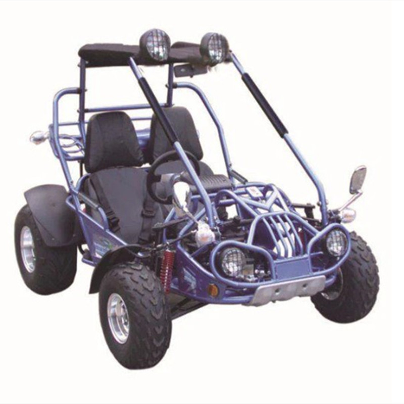 uwnat  100% ORIGINAL NEW 2021/2022 TrailMaster B la z e rs4-200X Off Road Adult Buggy Go kart four seater