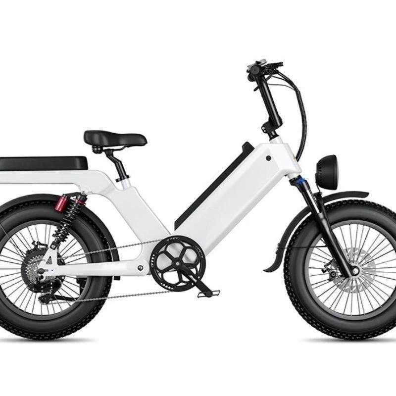 uwant Cheap electric Bicycle 1000W 48V ELECTR BIKE 20 inch Folding ebike off road electric bike