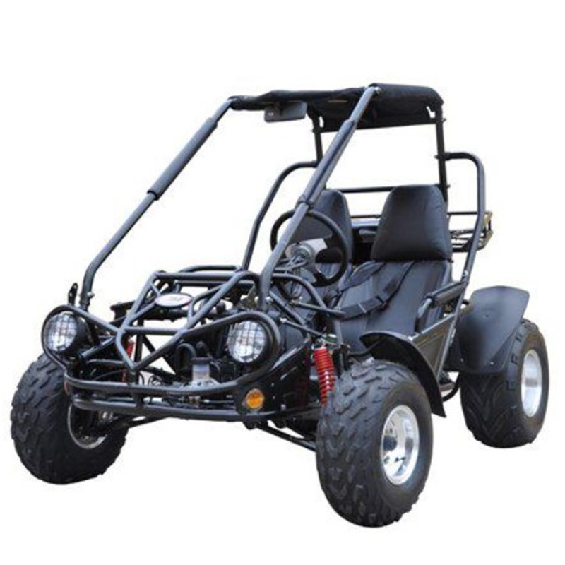 uwnat  100% ORIGINAL NEW 2021/2022 TrailMaster B la z e rs4-200X Off Road Adult Buggy Go kart four seater