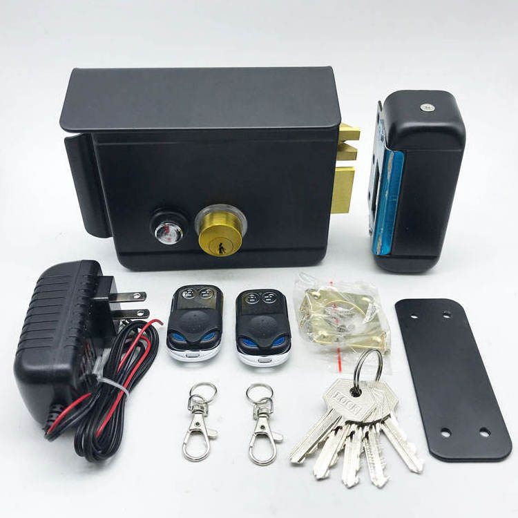 DC12V Access Entry Security System Electronic Door lock, Anti-theft Electric Rim Lock Metal Door Main Gate Lock