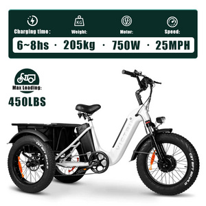 GPS smartable horseshoe lock 750W motor 3 wheeler fat tyre electric bike with hidden lithium ion 48v battery battery pack