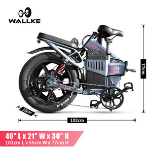 Adult e-bike 1000w 2000w 3000w 5000w strong dual motor power 20inch fat tire electric foldable mountain bike