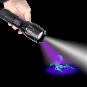 2 in 1 Dual LEDs White Ultraviolet Light Torch Fishing Zoom UV Black light Flashlight