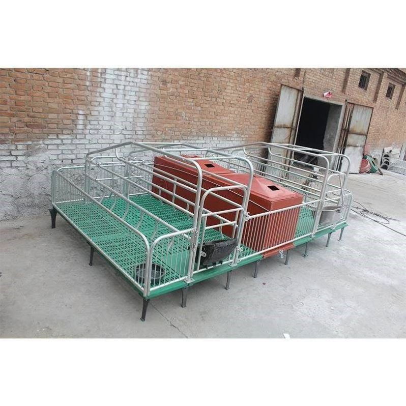 Pig Equipment Farrowing Crates Sow Pen Breeding Equipment Gestation Modern farm Turnkey Box Stalls Galvanized Pig Cage Swine