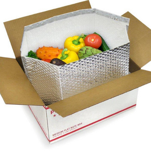 8*8*8 Inches Thermal Insulated Box Liner, Aluminum Foil Food Insulation Cooler Liners Shipping Boxes