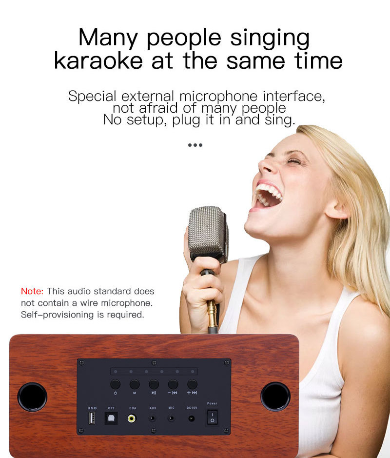 S10mini Home karaoke sound system Home KTV Bluetooth Sound Set Integrated Karaoke Speaker Singing TV Projector