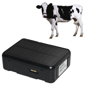 2019 New Cow Collar GPS Tracker Pet GPS Collar GPS Cattle Tracking device Gateway with  cattle bolus