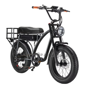 Electric bike e-cargo bicycle 2000w Dual Motor 48V 18AH lithium battery 20inch Fat tire snow bike e bike 7 Speed electric ebike