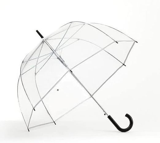 Custom Automatic Open Transparent Clear Umbrellas For the Rain