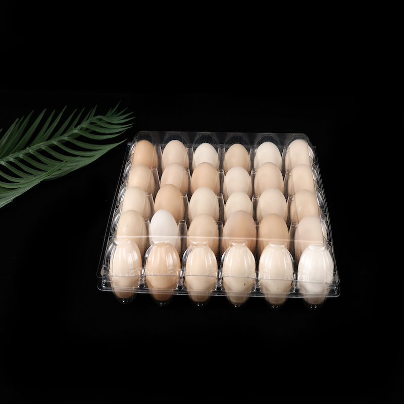 Factory Supplying 20 Compartment Disposable Quail Egg Cartons Carton Wholesale