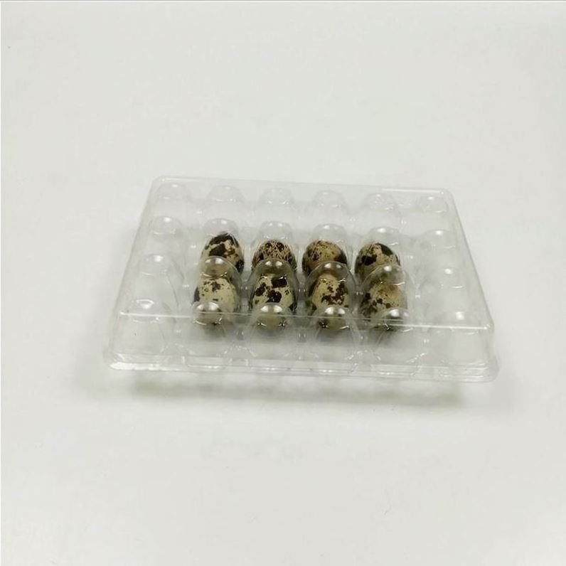 Factory Supplying Wholesale Quail Egg Cartons Packaging