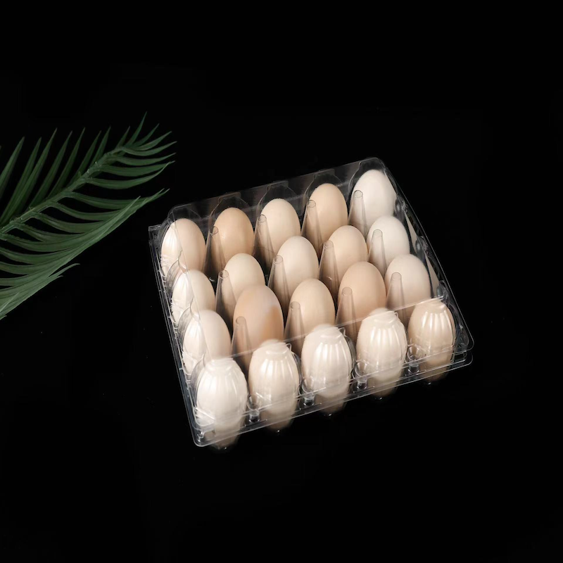 Factory Supplying 20 Compartment Disposable Quail Egg Cartons Carton Wholesale