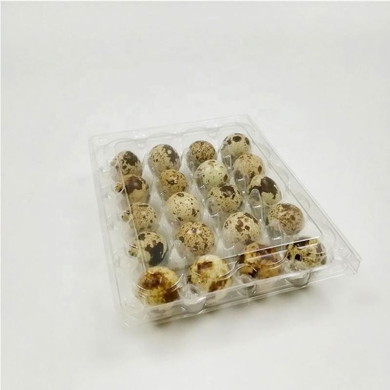 Factory Supplying Wholesale Quail Egg Cartons Packaging