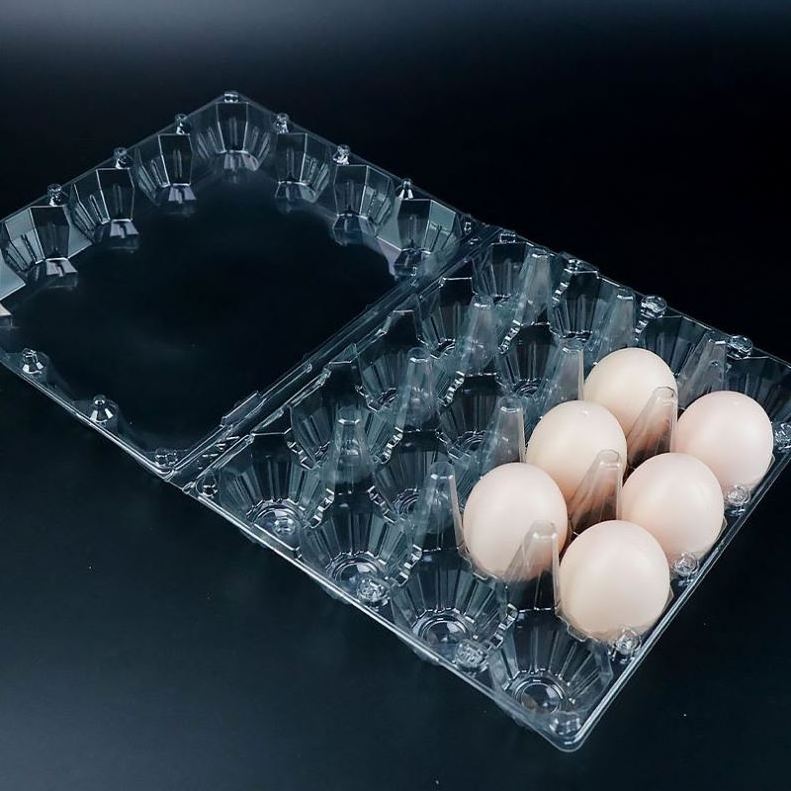 Cheap Price Egg Tray Pulp Mold