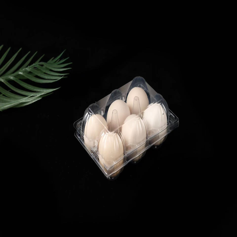 Factory Supplying 20 Compartment Disposable Quail Egg Cartons Carton Wholesale