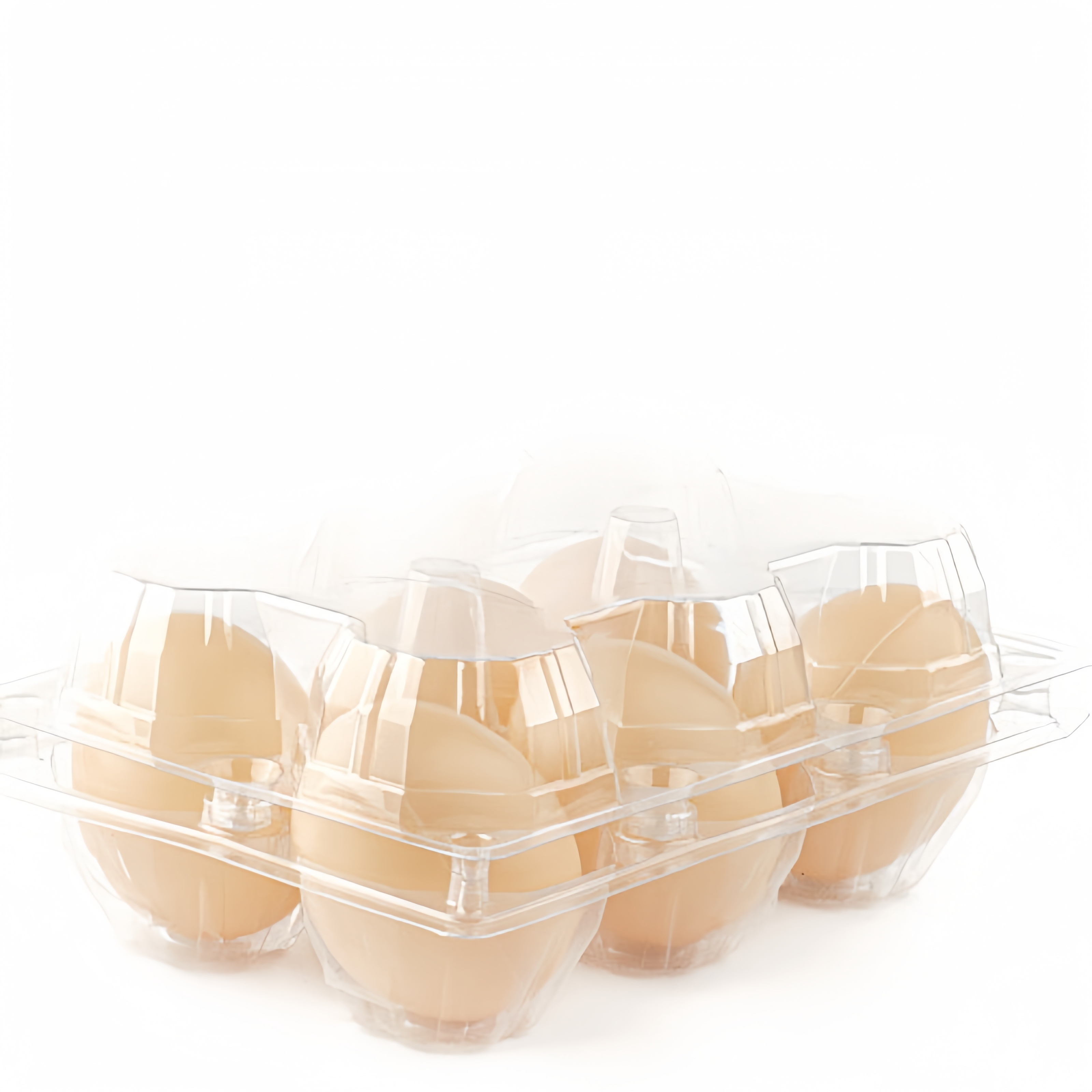 Factory Supplying Clear Plastic Reusable 12 Eggs Grid Egg Tray Container Carton