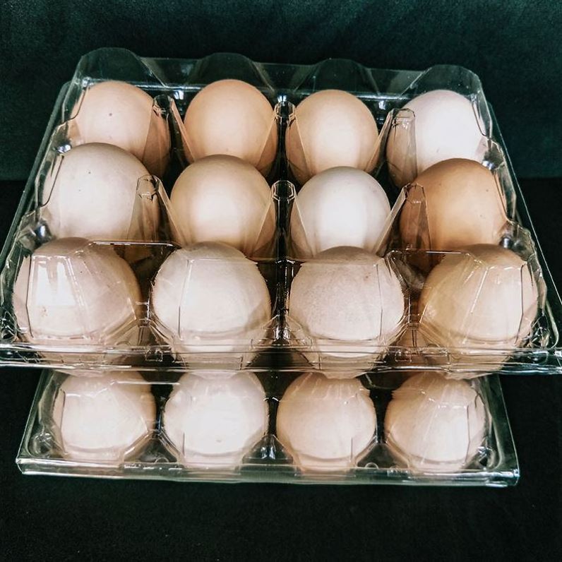 Good Selling Clear Packaging Foam Empty Egg Cartons For Sale