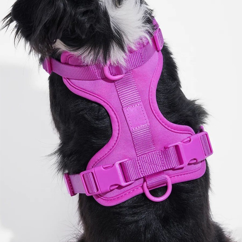 Custom Lightweight Dog Harness No Pull Waterproof Pet Collar Leash Set Convenient Using Neoprene Easy Walk Dog Harness